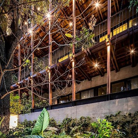 Ana Polanco Apartments Mexikóváros Kültér fotó