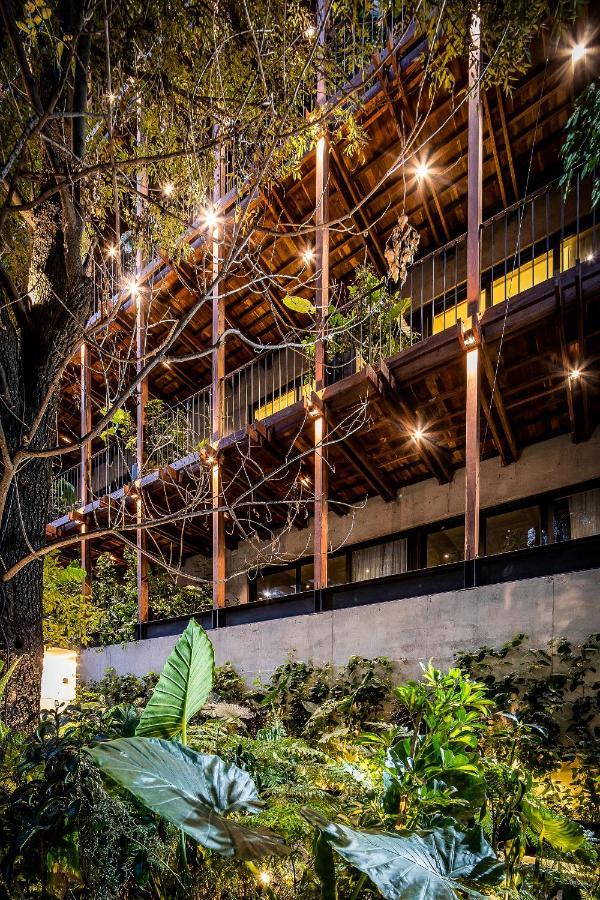 Ana Polanco Apartments Mexikóváros Kültér fotó